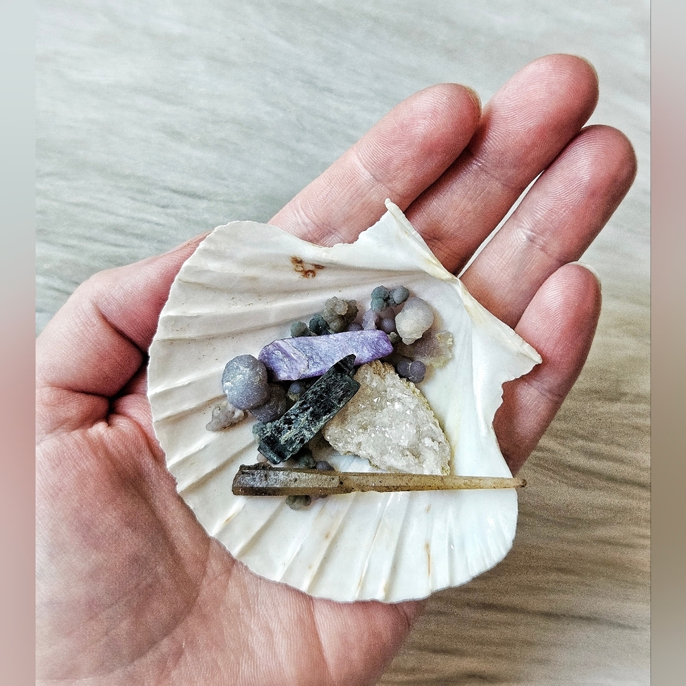 Rare Specimens Bundle - Picture 2 of 5